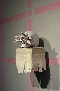 Dimitrina Sevova, installation at Verwoben im Anthropozän, 2023. Installation view