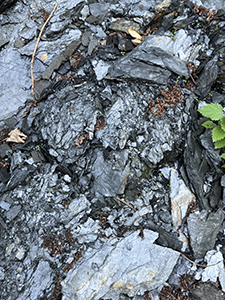 Dimitrina Sevova, Open Studio at Lilly Keller’s studio in Thusis. Unprocessed, natural graphite