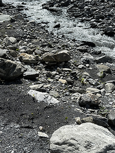 Dimitrina Sevova, Open Studio at Lilly Keller’s studio in Thusis. Riverbed of the Nolla