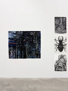 Werkschau 2025, Canton of Zurich. Dimitrina Sevova, August Diary: Lovers, 2025